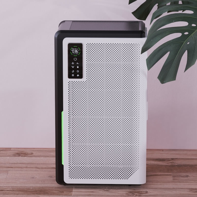 Humidification Room UV Light Air Purifier True Hepa Filter Wholehouse Air Sterilizer
