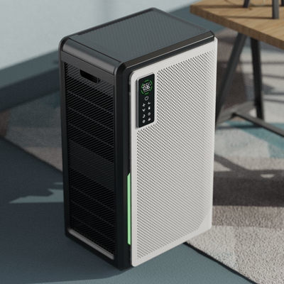H13 Hepa Filter Whole House Air Purifier For Large Room Smoke