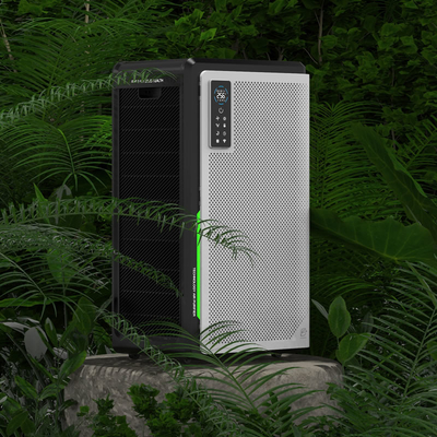 Intelligent Home Electric Negative Ion Air Purifier Wall Mounted For Allergies