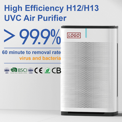 Home H13 Hepa DC Motor Air Purifiers For Mold , Plasma Air Purification
