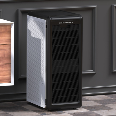 H13 Hepa Filter Whole House Air Purifier For Large Room Smoke