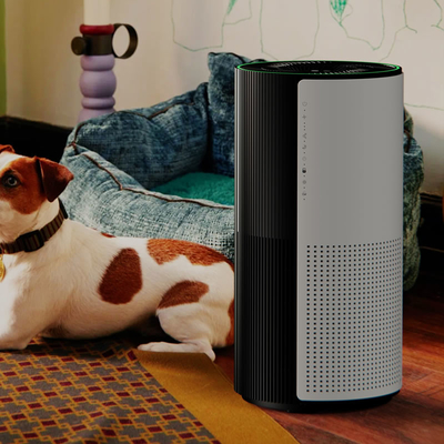 40W Three Speed Hepa UV Air Purifier For Pet Allergies